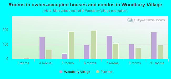 Rooms in owner-occupied houses and condos in Woodbury Village