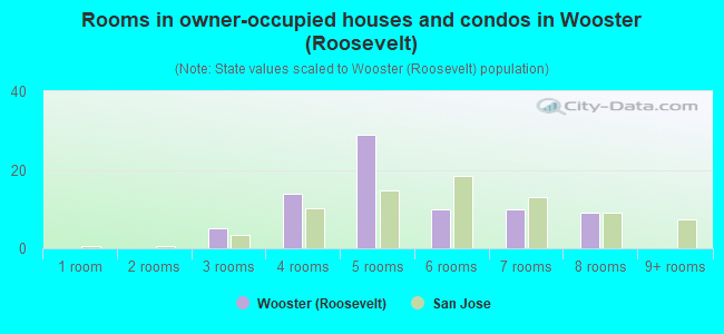 Rooms in owner-occupied houses and condos in Wooster (Roosevelt)