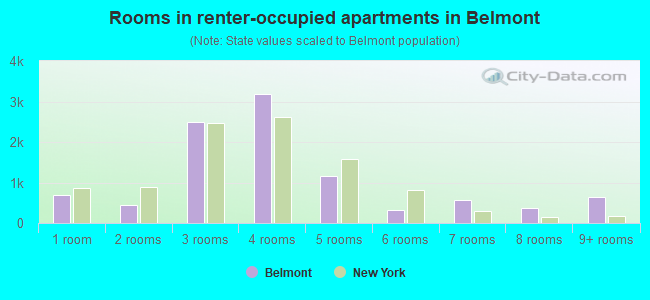 Rooms in renter-occupied apartments in Belmont