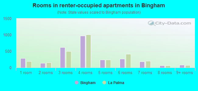Rooms in renter-occupied apartments in Bingham