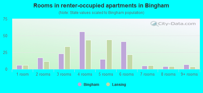 Rooms in renter-occupied apartments in Bingham