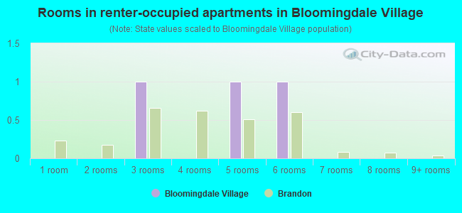Rooms in renter-occupied apartments in Bloomingdale Village