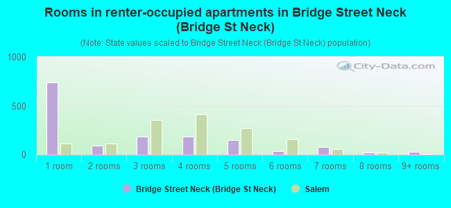 Rooms in renter-occupied apartments in Bridge Street Neck (Bridge St Neck)