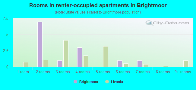 Rooms in renter-occupied apartments in Brightmoor