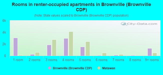 Rooms in renter-occupied apartments in Brownville (Brownville CDP)