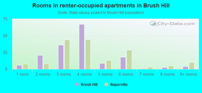 Rooms in renter-occupied apartments in Brush Hill