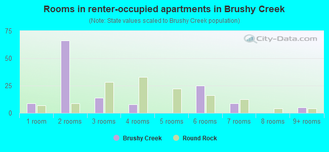 Rooms in renter-occupied apartments in Brushy Creek
