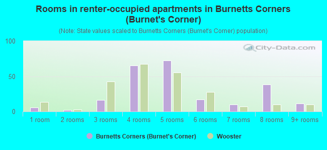 Rooms in renter-occupied apartments in Burnetts Corners (Burnet's Corner)