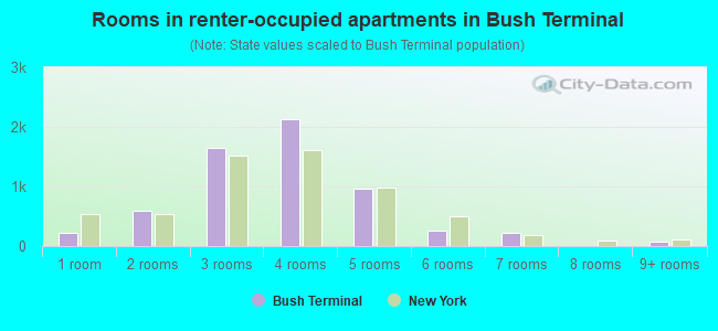 Rooms in renter-occupied apartments in Bush Terminal