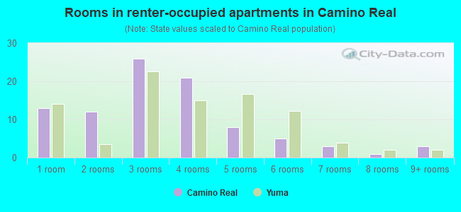 Rooms in renter-occupied apartments in Camino Real