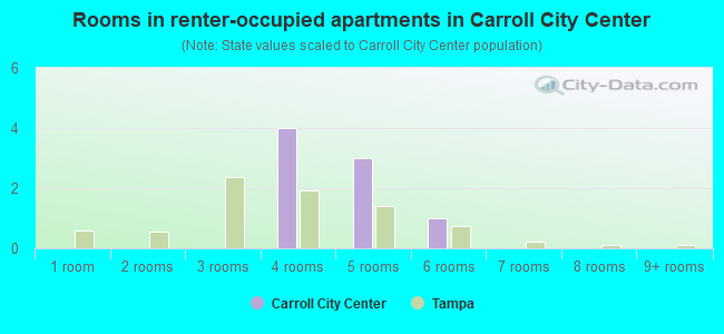 Rooms in renter-occupied apartments in Carroll City Center