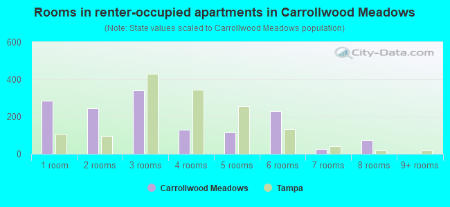 Rooms in renter-occupied apartments in Carrollwood Meadows