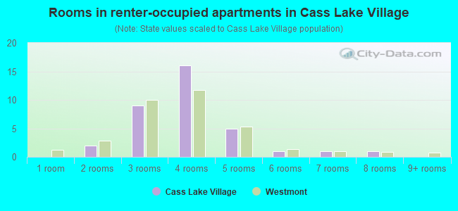 Rooms in renter-occupied apartments in Cass Lake Village