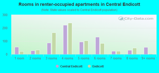 Rooms in renter-occupied apartments in Central Endicott
