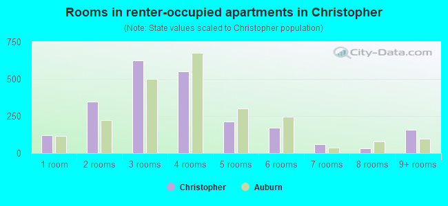 Rooms in renter-occupied apartments in Christopher