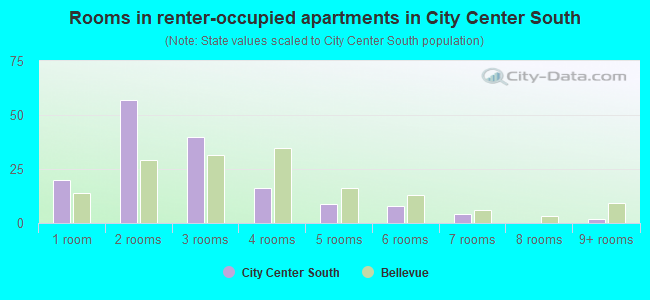 Rooms in renter-occupied apartments in City Center South