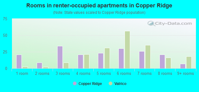 Rooms in renter-occupied apartments in Copper Ridge