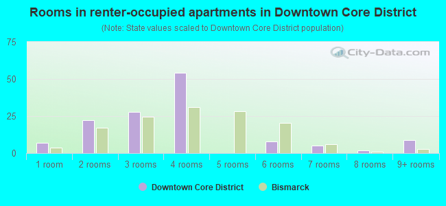 Rooms in renter-occupied apartments in Downtown Core District