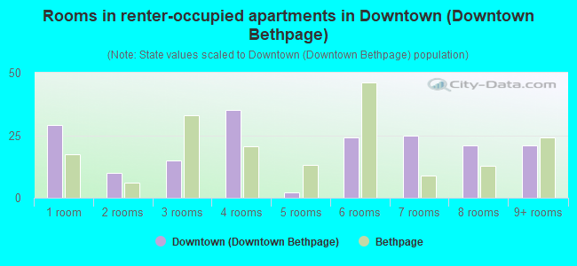 Rooms in renter-occupied apartments in Downtown (Downtown Bethpage)
