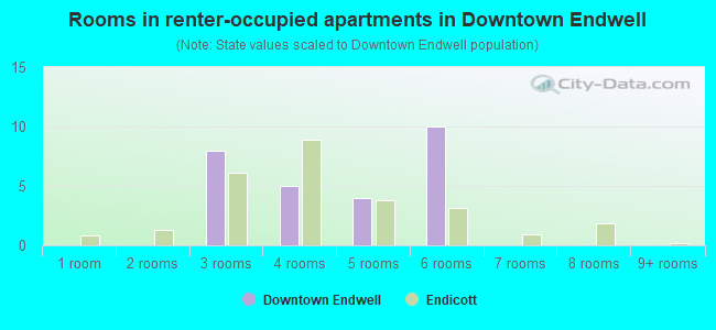 Rooms in renter-occupied apartments in Downtown Endwell