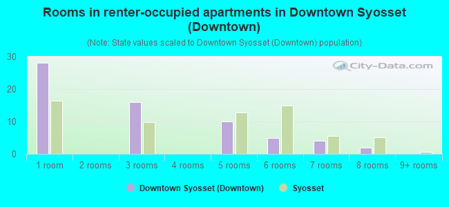 Rooms in renter-occupied apartments in Downtown Syosset (Downtown)