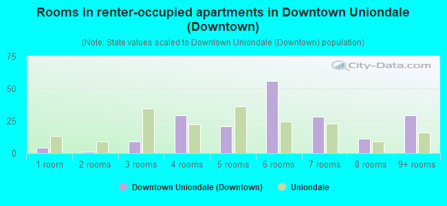 Rooms in renter-occupied apartments in Downtown Uniondale (Downtown)