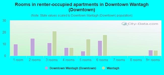 Rooms in renter-occupied apartments in Downtown Wantagh (Downtown)