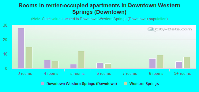Rooms in renter-occupied apartments in Downtown Western Springs (Downtown)
