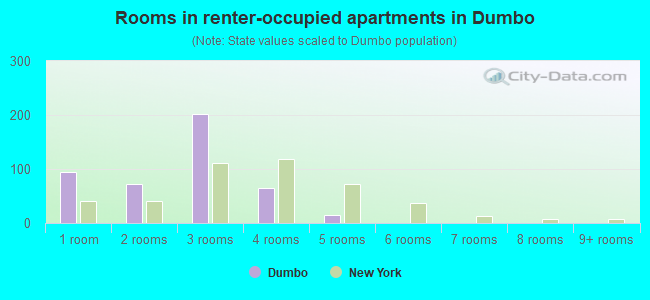 Rooms in renter-occupied apartments in Dumbo