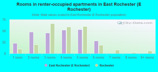 Rooms in renter-occupied apartments in East Rochester (E Rochester)