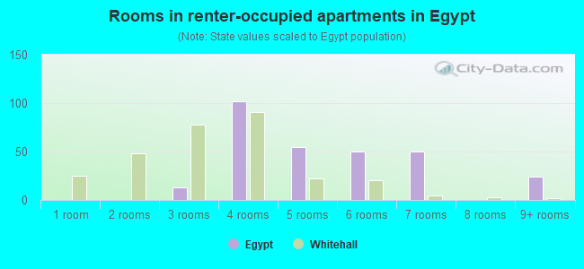 Rooms in renter-occupied apartments in Egypt