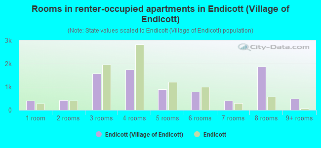 Rooms in renter-occupied apartments in Endicott (Village of Endicott)