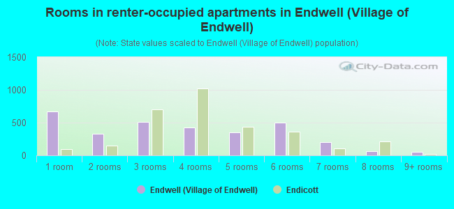 Rooms in renter-occupied apartments in Endwell (Village of Endwell)