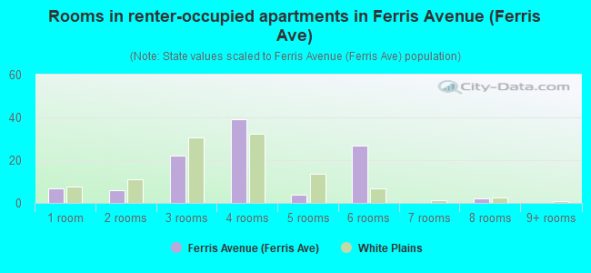Rooms in renter-occupied apartments in Ferris Avenue (Ferris Ave)
