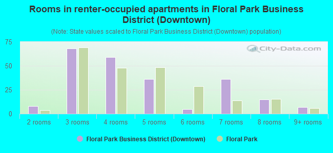 Rooms in renter-occupied apartments in Floral Park Business District (Downtown)