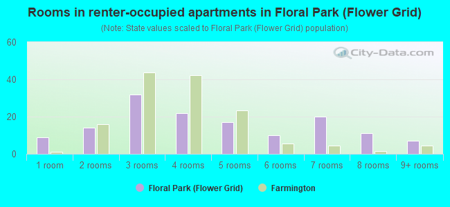 Rooms in renter-occupied apartments in Floral Park (Flower Grid)
