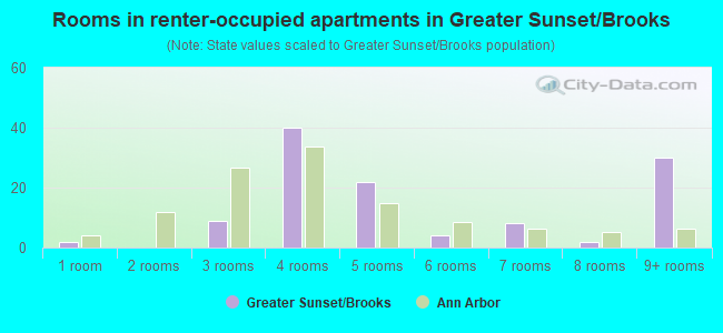 Rooms in renter-occupied apartments in Greater Sunset/Brooks