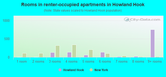 Rooms in renter-occupied apartments in Howland Hook