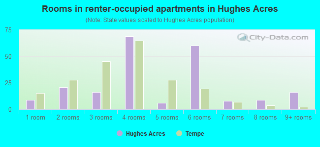 Rooms in renter-occupied apartments in Hughes Acres