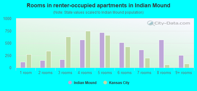 Rooms in renter-occupied apartments in Indian Mound