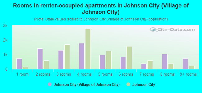 Rooms in renter-occupied apartments in Johnson City (Village of Johnson City)