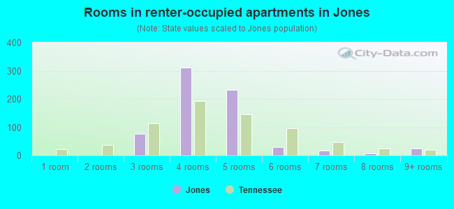 Rooms in renter-occupied apartments in Jones