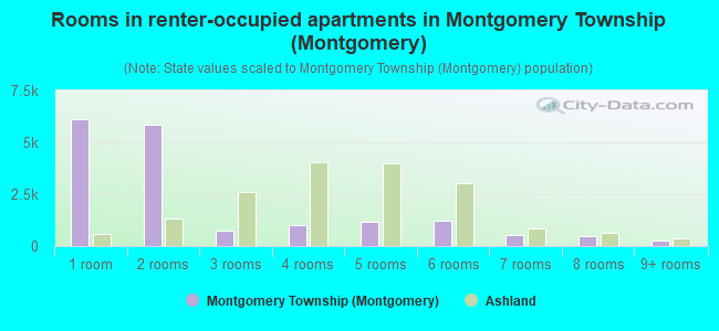 Rooms in renter-occupied apartments in Montgomery Township (Montgomery)