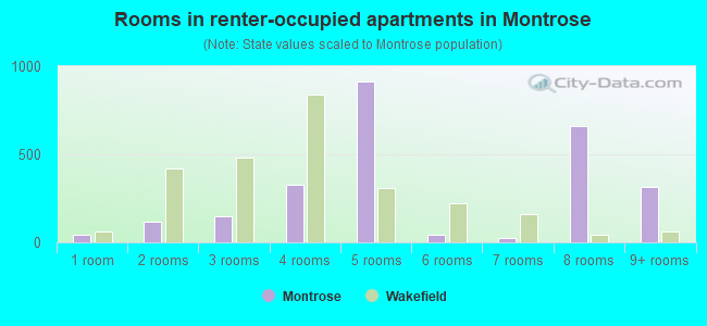 Rooms in renter-occupied apartments in Montrose