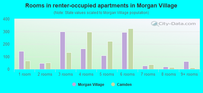Rooms in renter-occupied apartments in Morgan Village