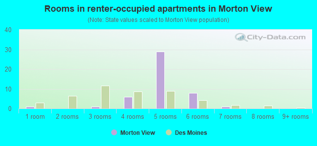 Rooms in renter-occupied apartments in Morton View