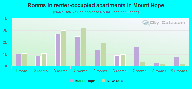 Rooms in renter-occupied apartments in Mount Hope
