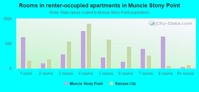 Rooms in renter-occupied apartments in Muncie Stony Point