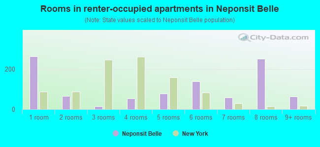 Rooms in renter-occupied apartments in Neponsit  Belle