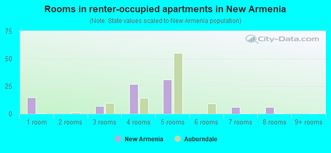 Rooms in renter-occupied apartments in New Armenia